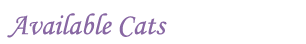 Available Cats