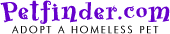 Our petfinder page
