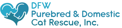 DFW Purebred & Domestic Cat Rescue, Inc.